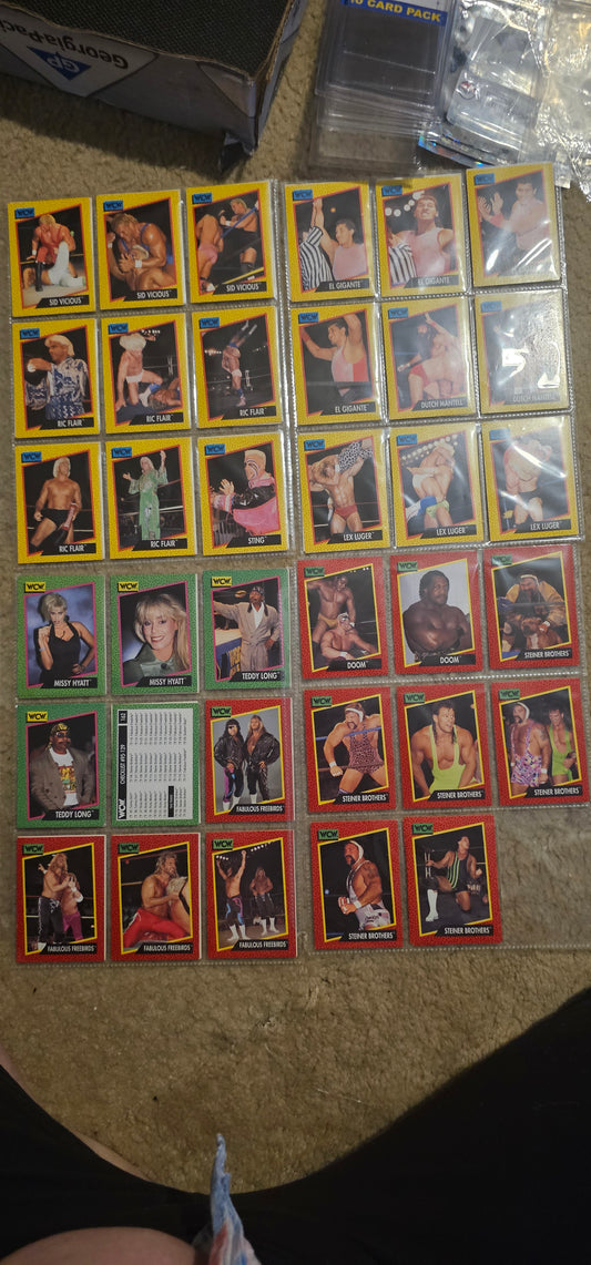 1991 WCW Trading Cards